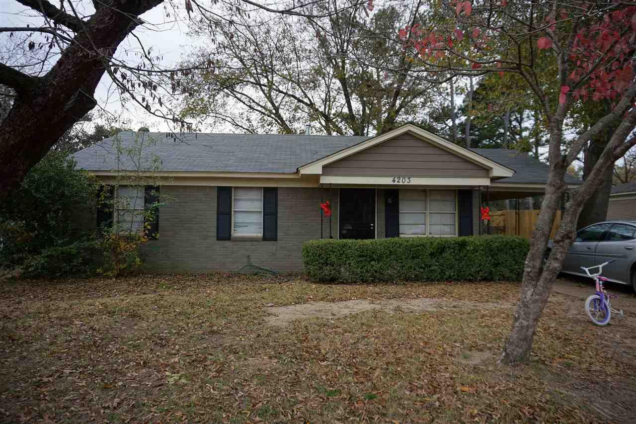 4203 Kerwin Dr - Photo 1