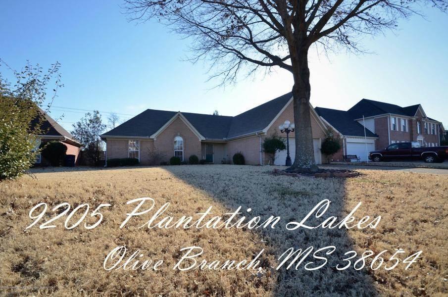 9205 Plantation Lakes Dr - Photo 1