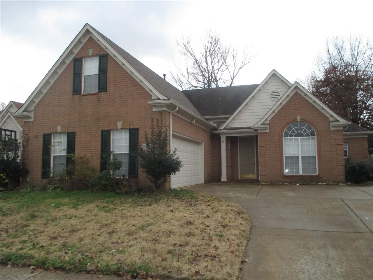 8423 Shady Elm Dr - Photo 1