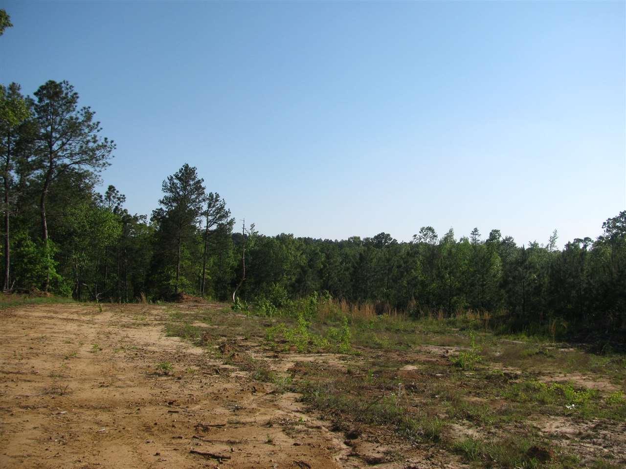 47 Hopewell Church Rd - Photo 1