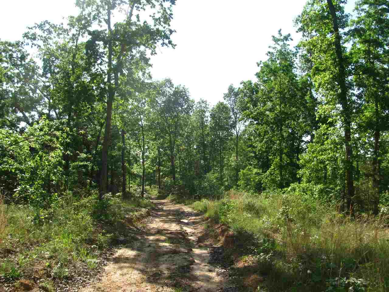 122 Hopewell Church Rd - Photo 1