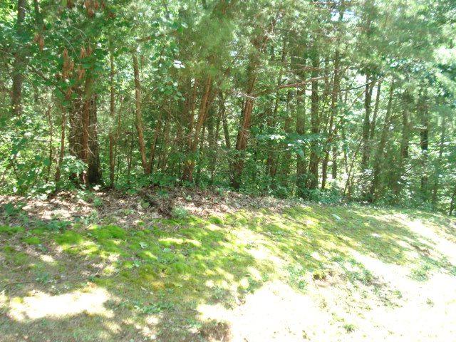 14 Point Grand Dr - Photo 1