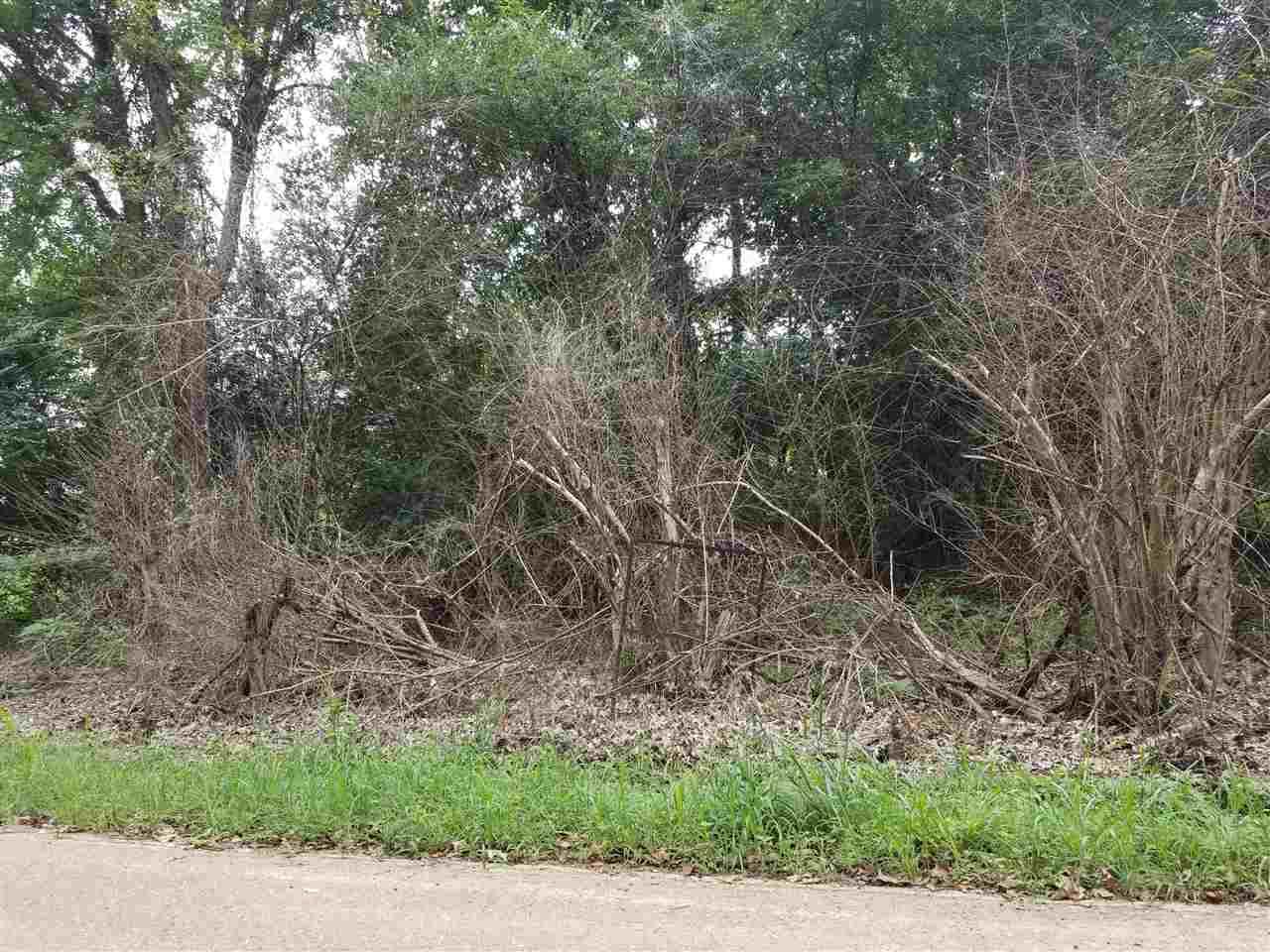 0 Dent Rd - Photo 1