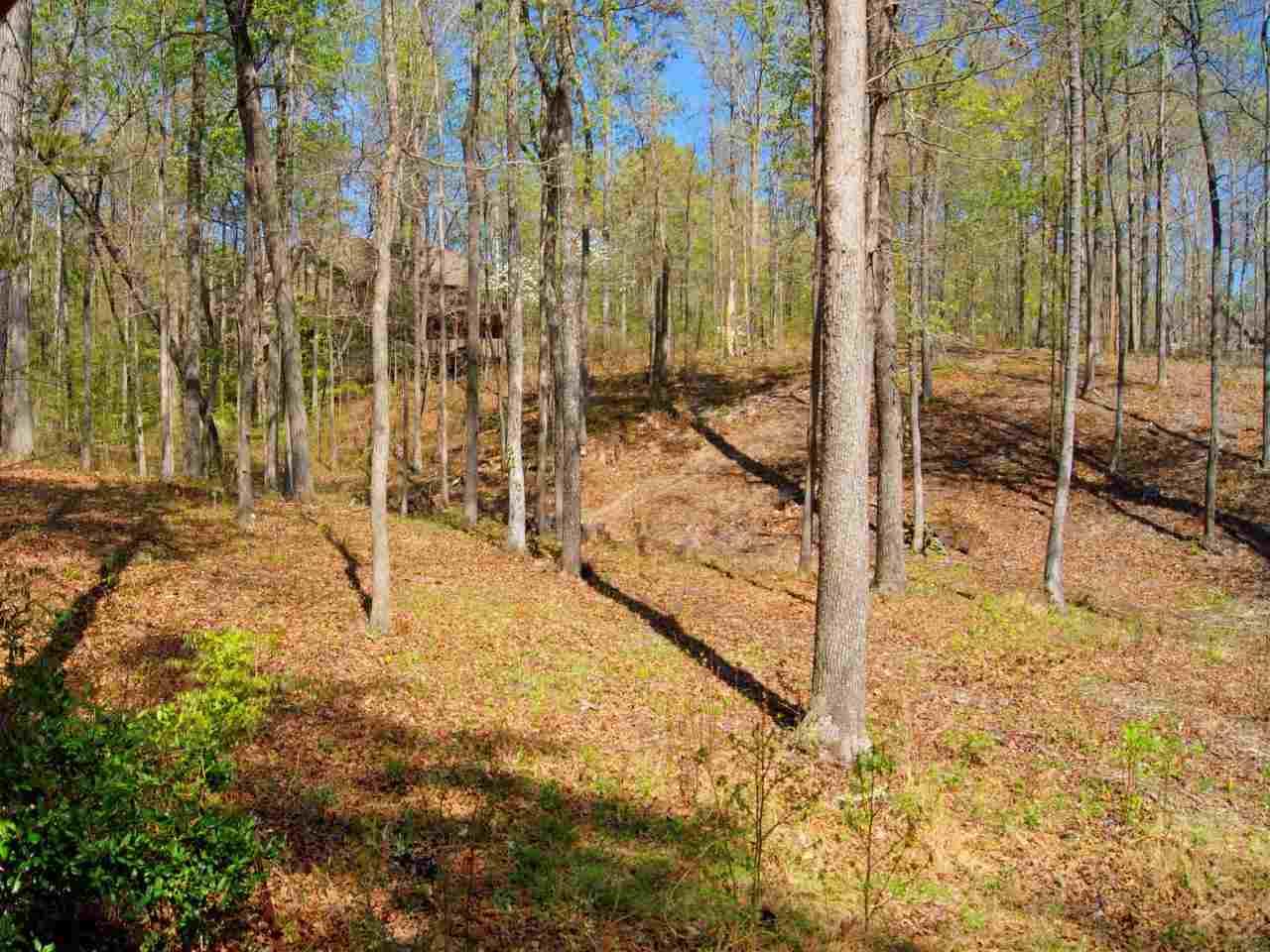 15 Rising Sun Ln - Photo 1