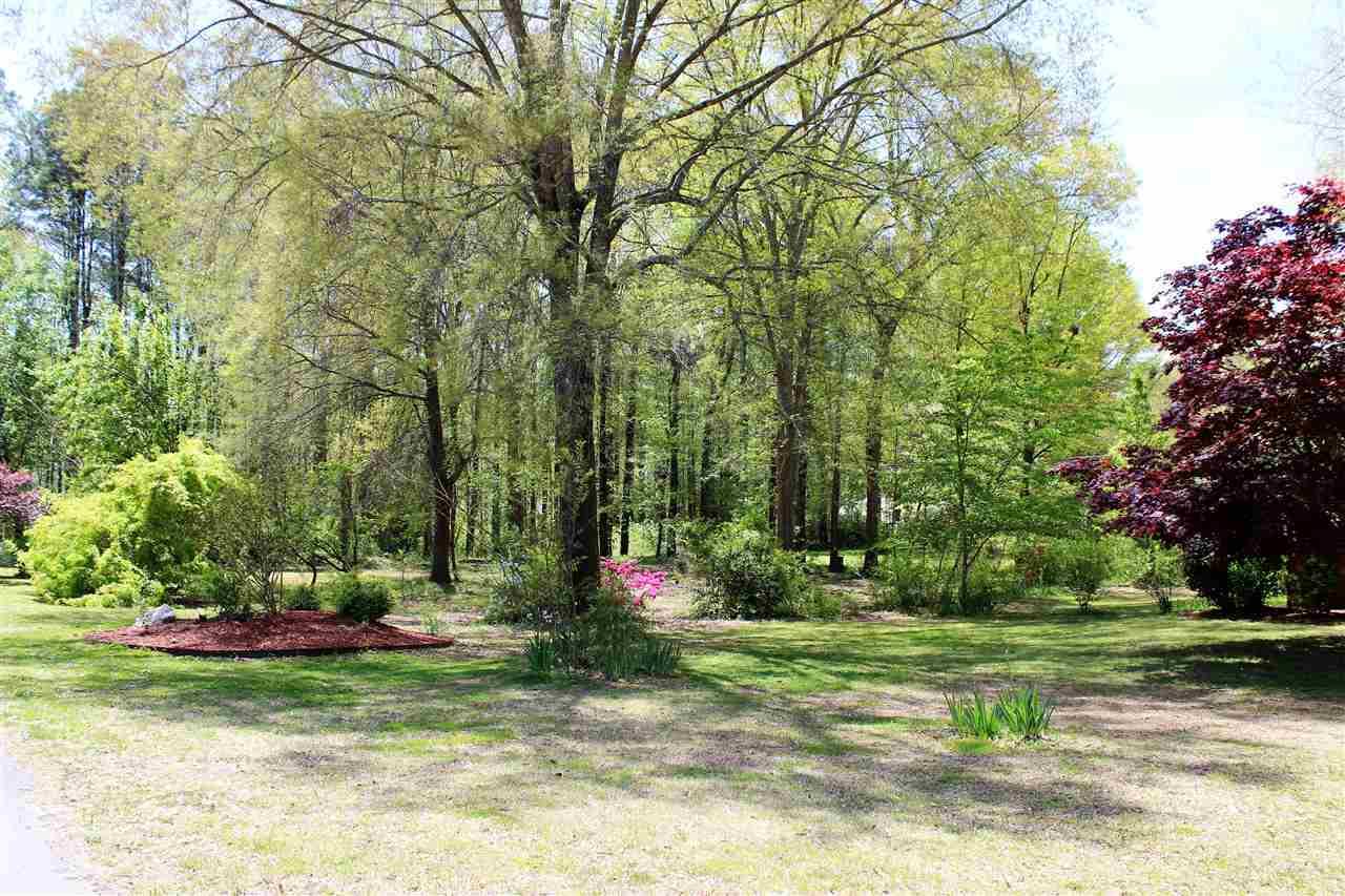 LOT 29 Segars Dr - Photo 1