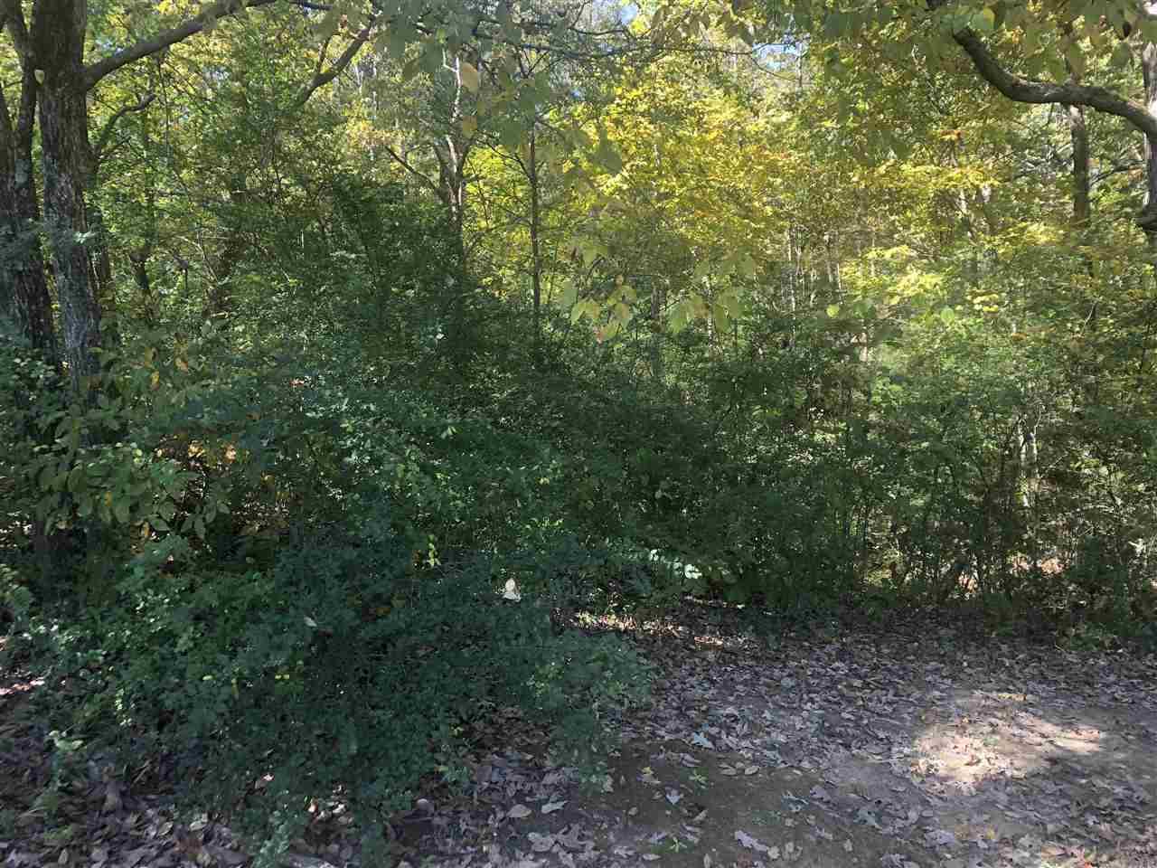 4248 Bienville Rd - Photo 1