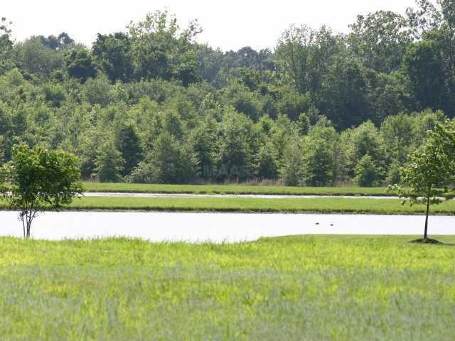 105 Lake Pointe Cv - Photo 1