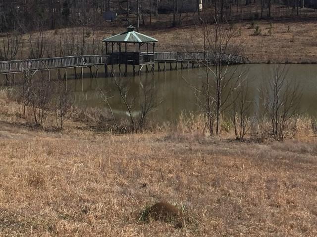 00 Bruton Branch Rd - Photo 1