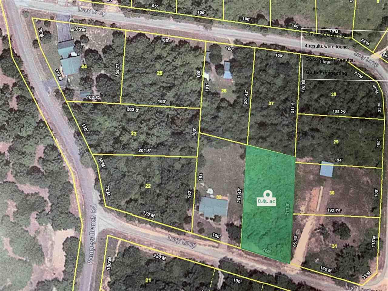 32 Lucy Loop - Photo 1