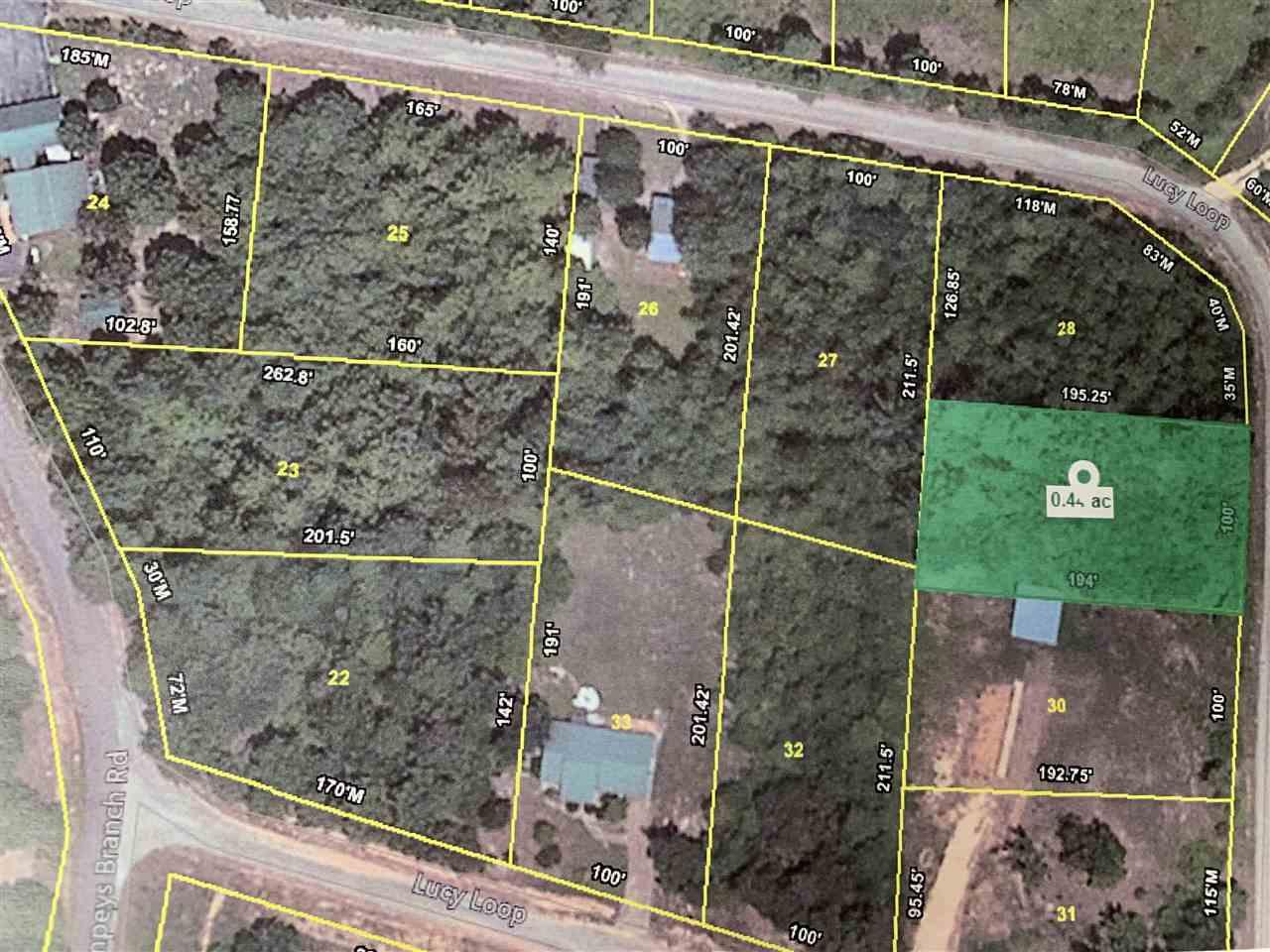29 Lucy Loop - Photo 1