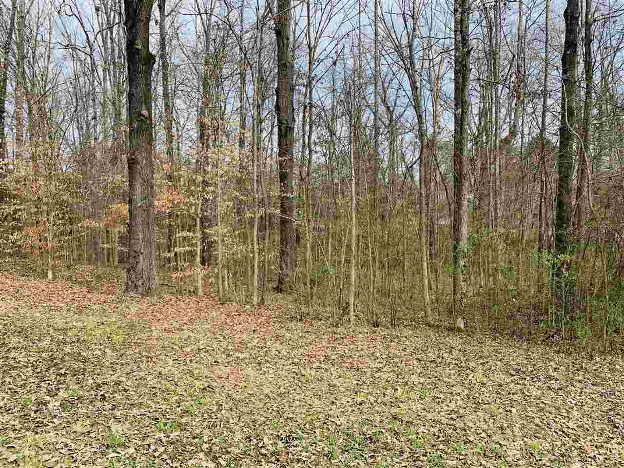 0 Morningside Dr - Photo 1