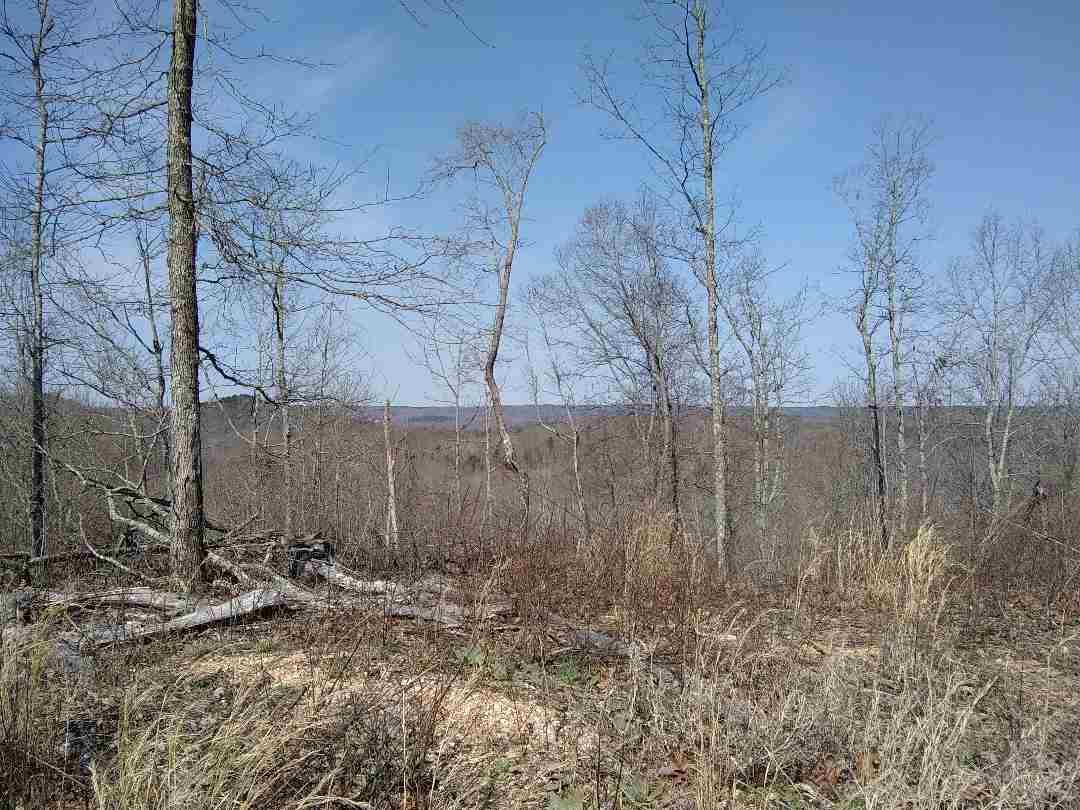 80 128 Hwy - Photo 1
