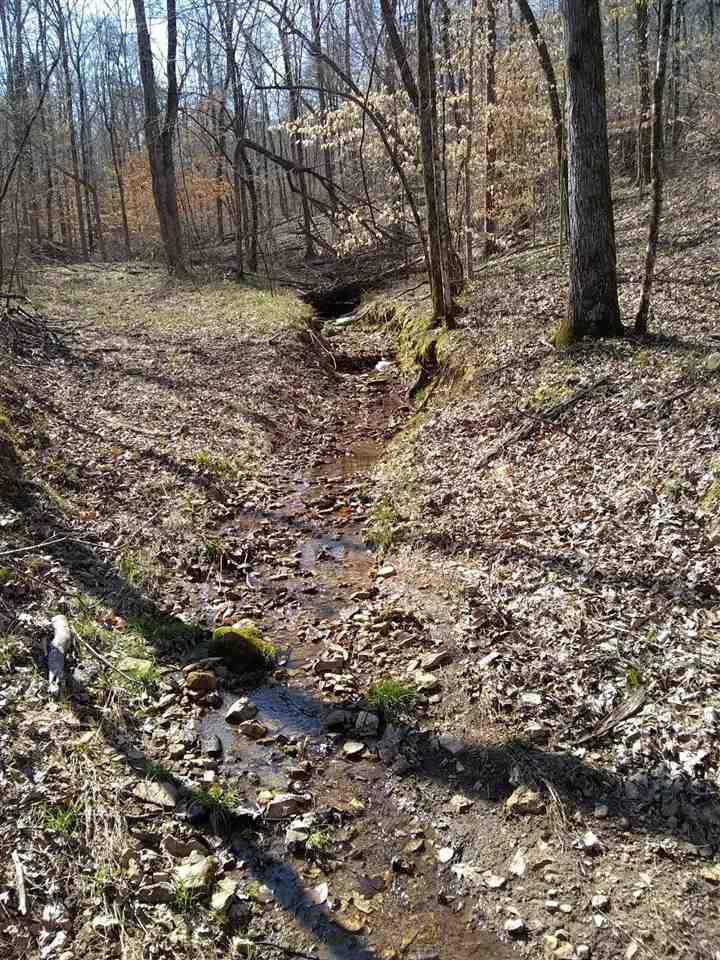 25 128 Hwy - Photo 1