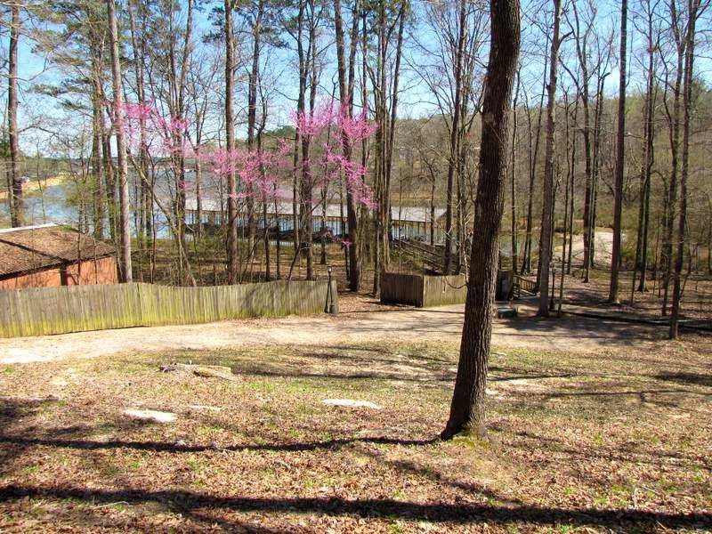 1 Sandy Creek Lane Ln - Photo 1