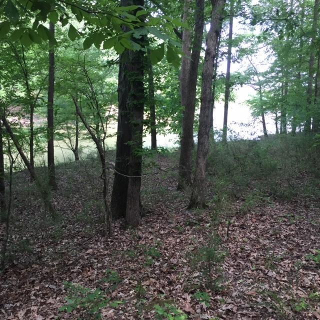 0 Shirley Bates Rd - Photo 1