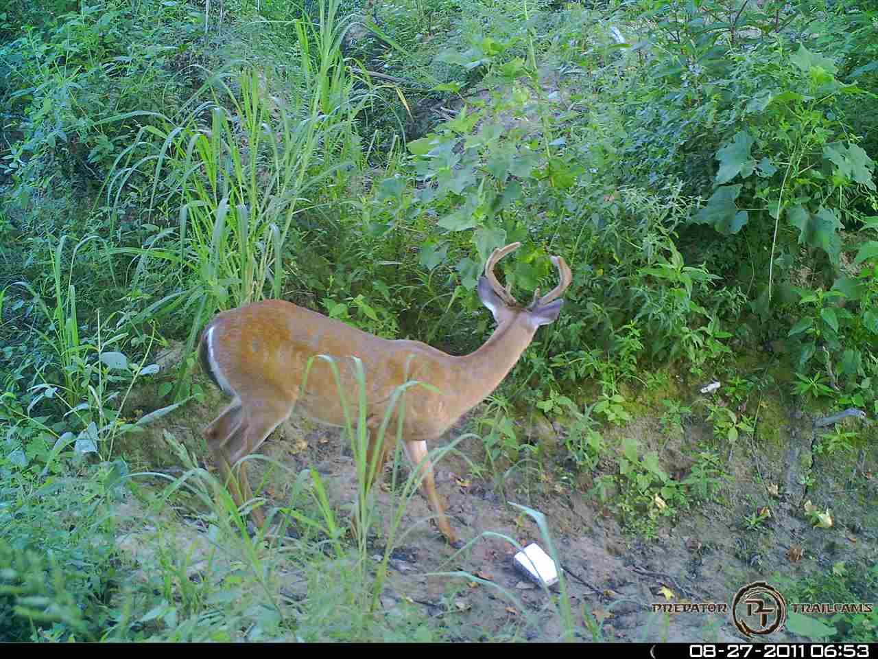 2660 Dunlap Orhanage Rd - Photo 1