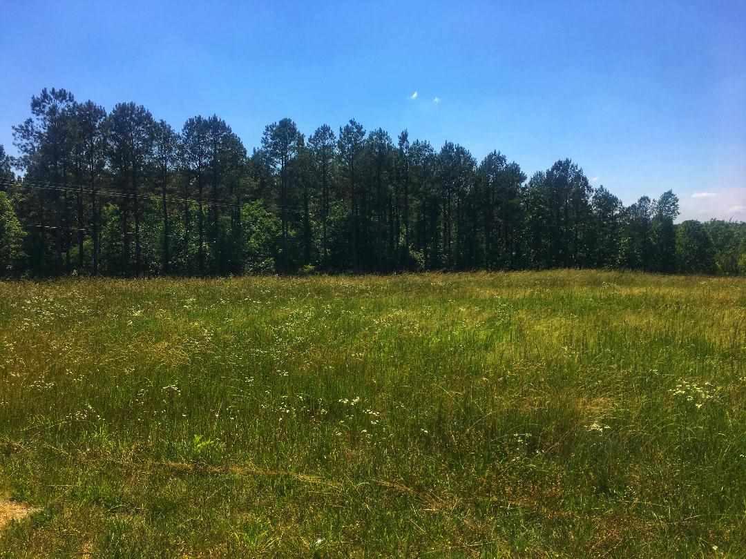 00 Chisholm Rd - Photo 1