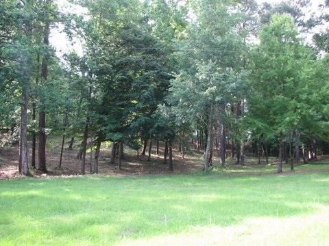 LOT 27 Buchanan Peninsula Dr - Photo 1