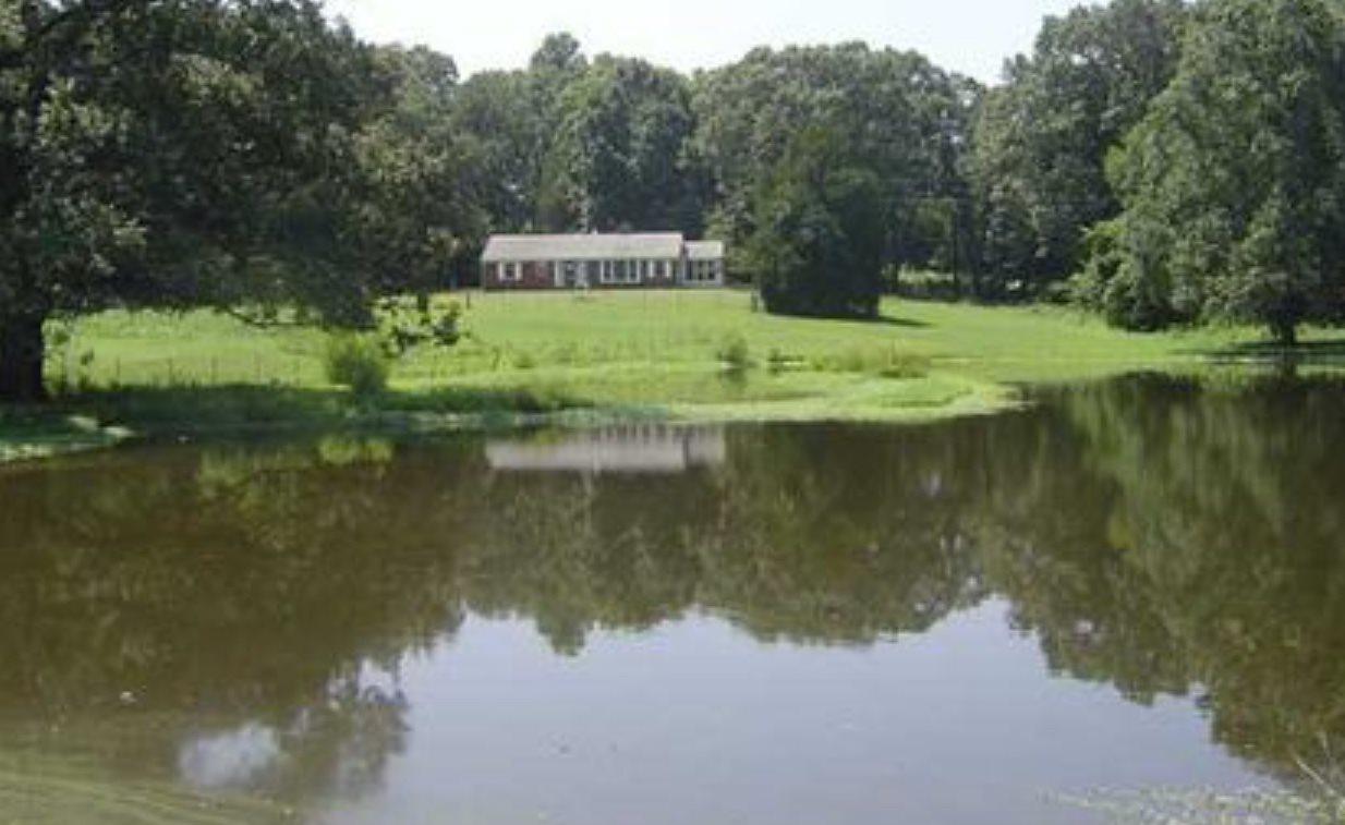 4440 Hwy 70 Hwy - Photo 1