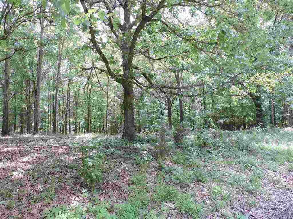 0 Greenbriar Rd. Rd - Photo 1