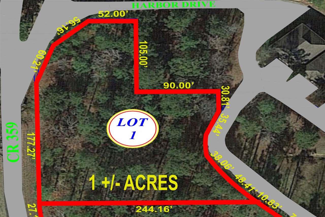 LOT1 Harbor Dr - Photo 1