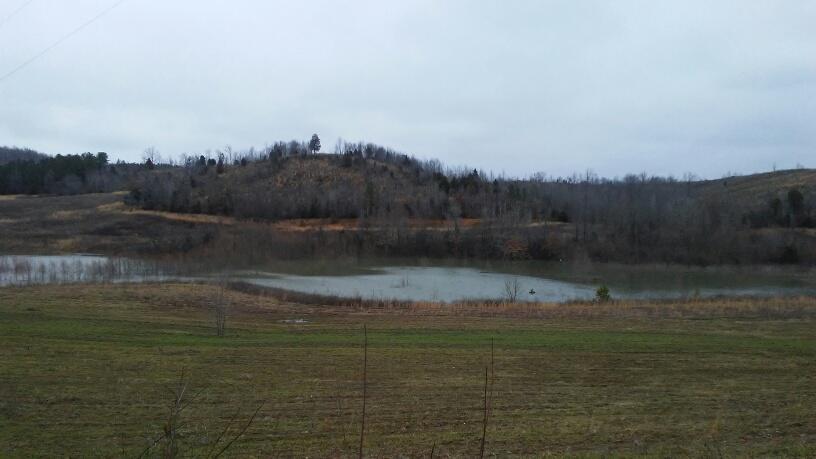149 Luna Rd - Photo 1