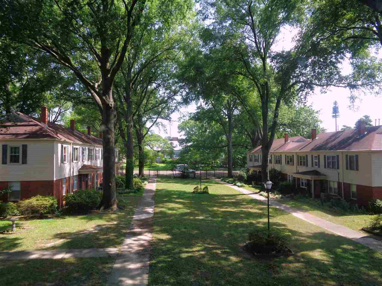 2997 Walnut Grove Rd - Photo 1