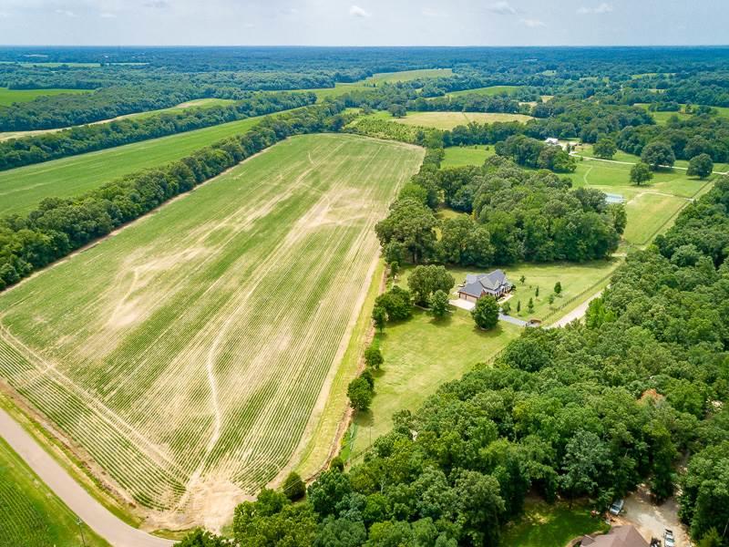 0 Tomlin Rd - Photo 1