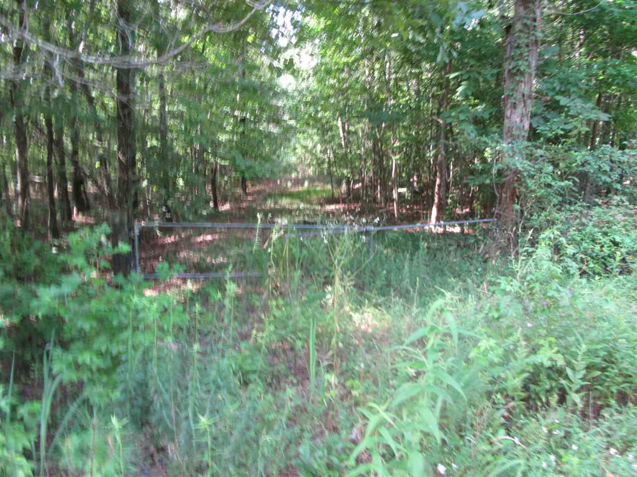 Pratt Ln - Photo 1