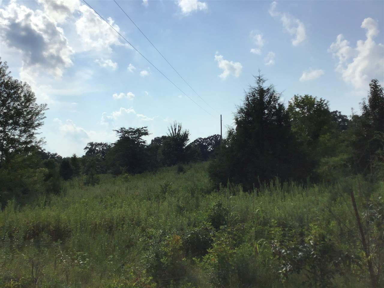 00 Fisherville Loop - Photo 1
