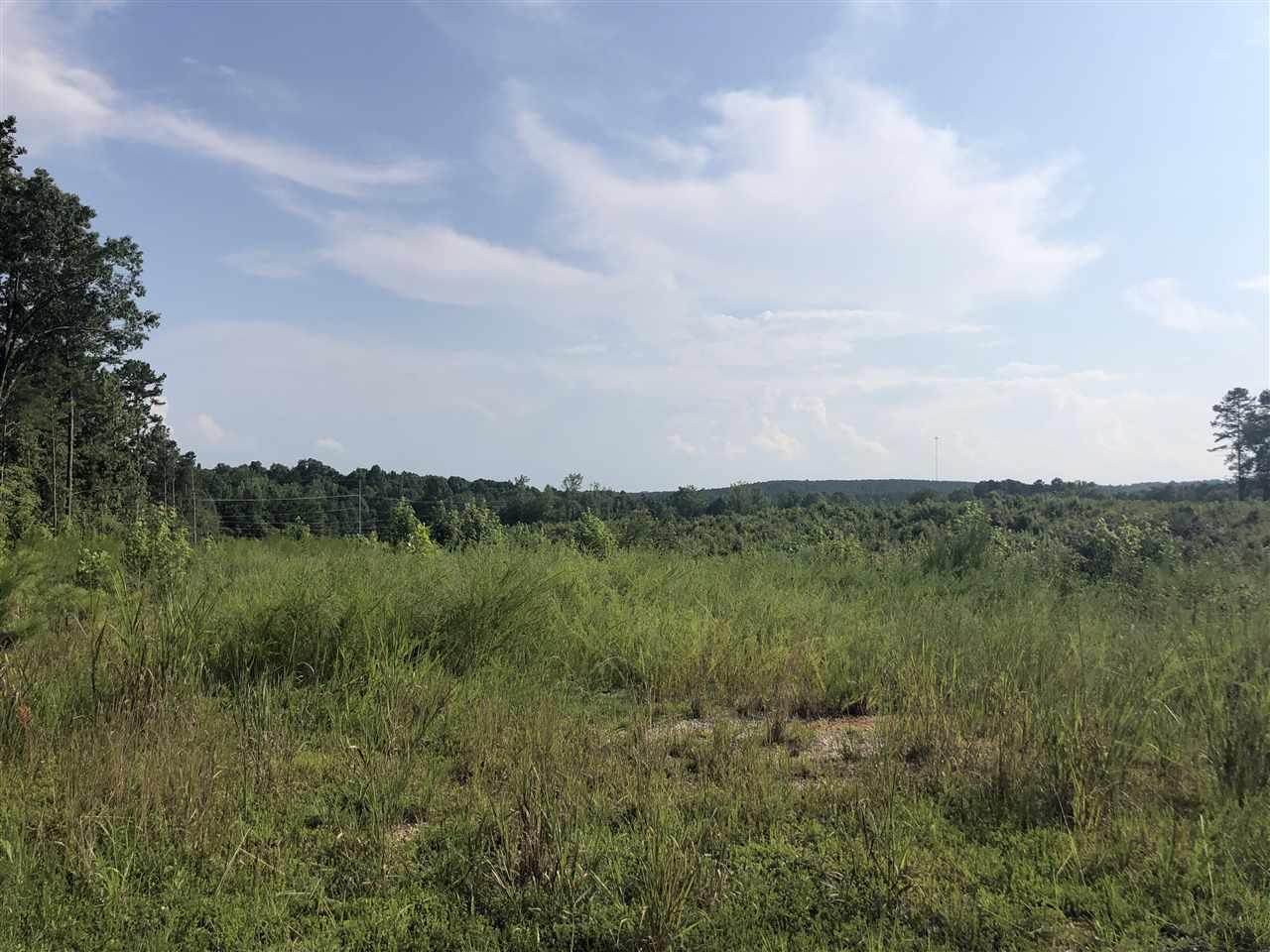 13 Cr 321 Rd - Photo 1