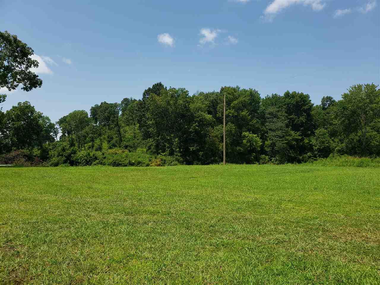 LOT 59 Wc Pickett Dr - Photo 1
