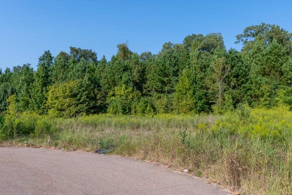 0 Raleigh Common Dr - Photo 1