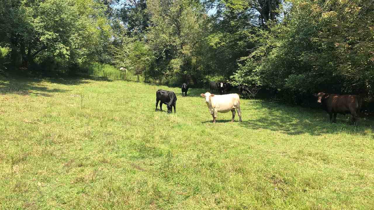 5120 Brison Rd - Photo 1