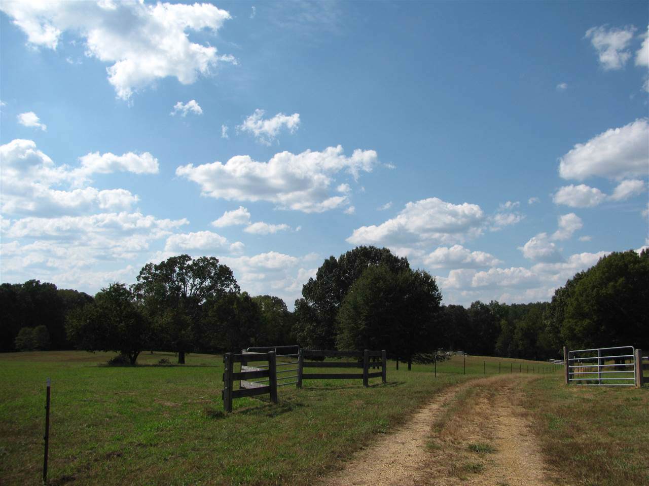 2265 Fellowship Rd - Photo 1