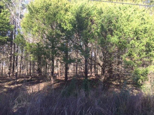 9914 Holly Grove Rd - Photo 1