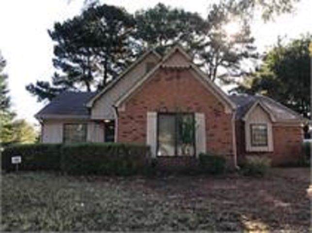 8195 Timber Hill Trl - Photo 1