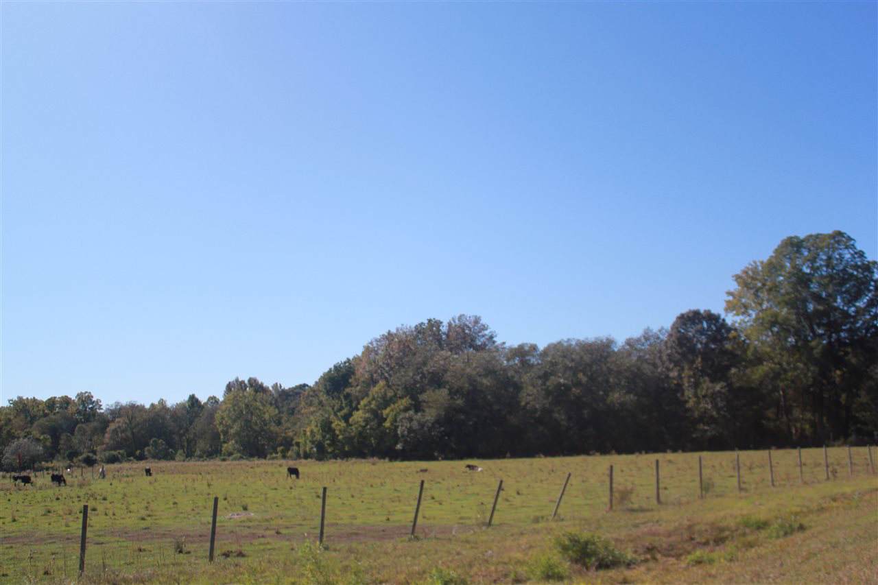 751 Highway 310 Hwy - Photo 1