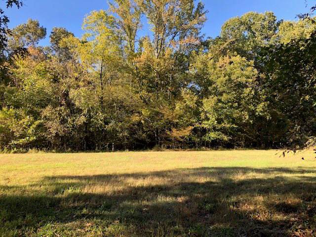 10336 Pleasant Ridge Rd - Photo 1