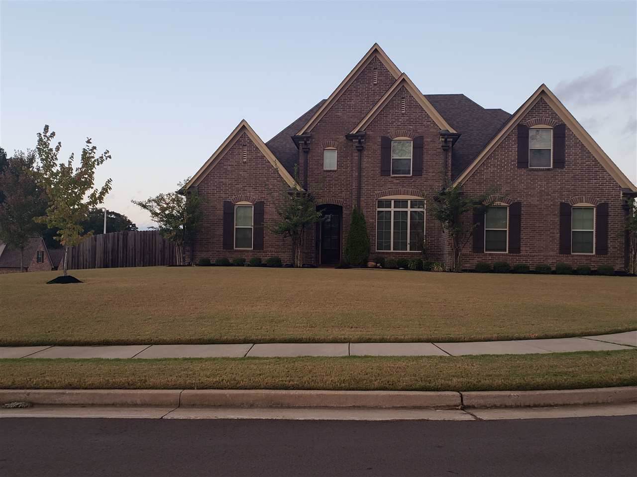 8340 Glade Hollow Cv - Photo 1