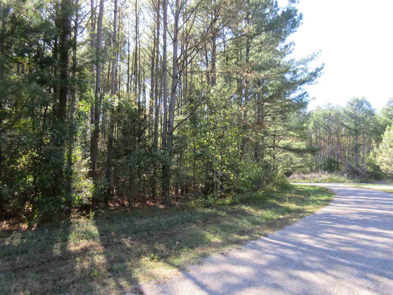 LOT 16 Osage Dr - Photo 1