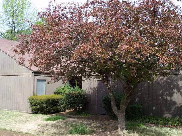 3598 Beechollow Dr - Photo 1