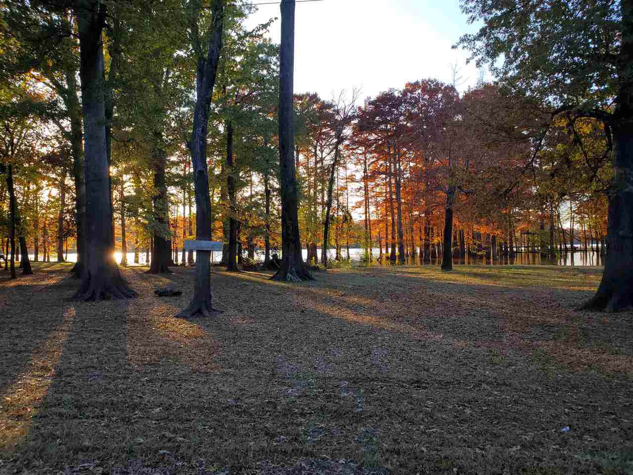 43 Chisholm Lake Rd - Photo 1