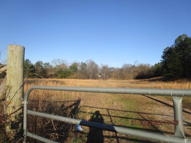 Peach/Old Hwy 45 N St - Photo 1