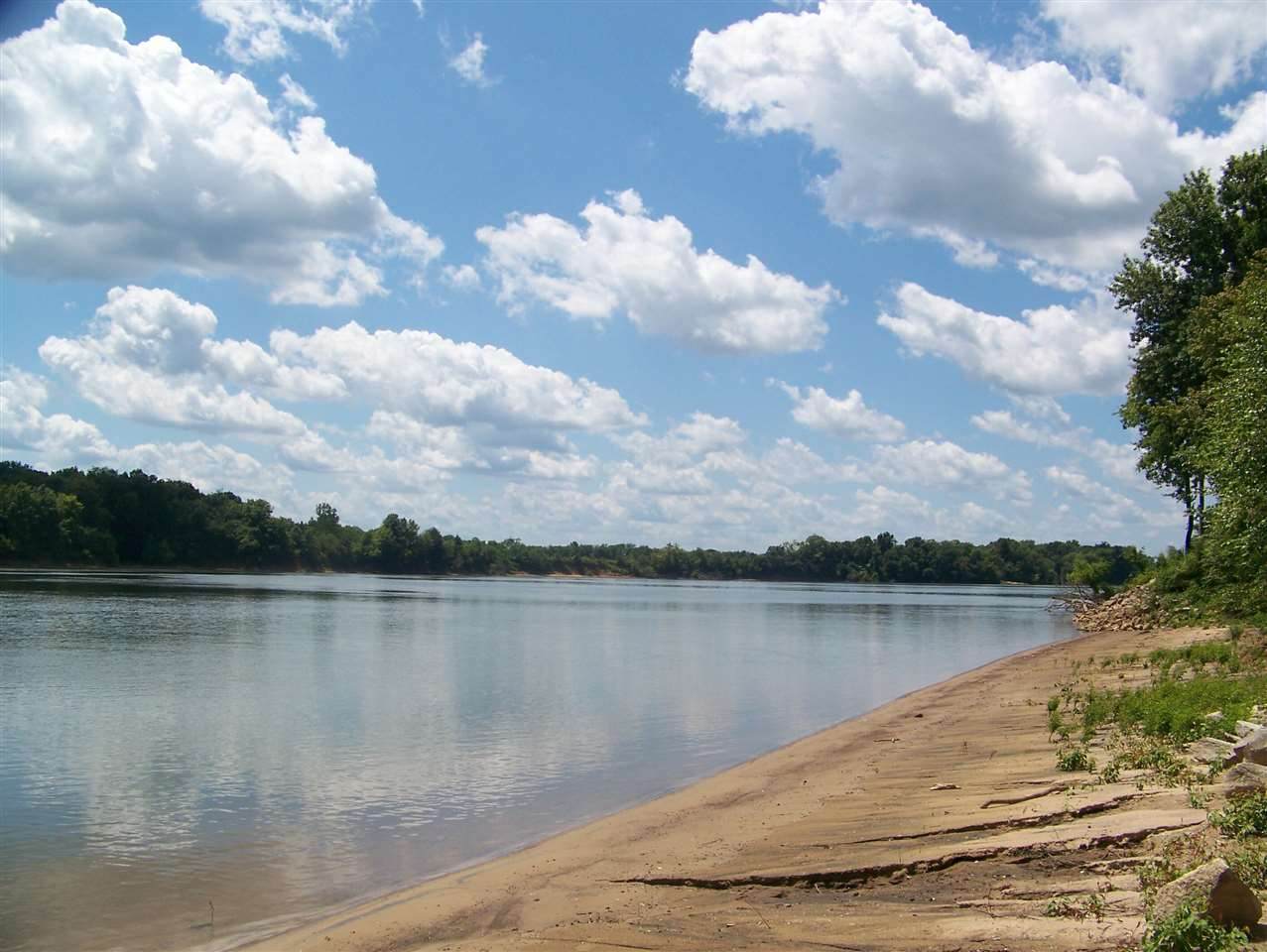 0 Sandy Ln - Photo 1
