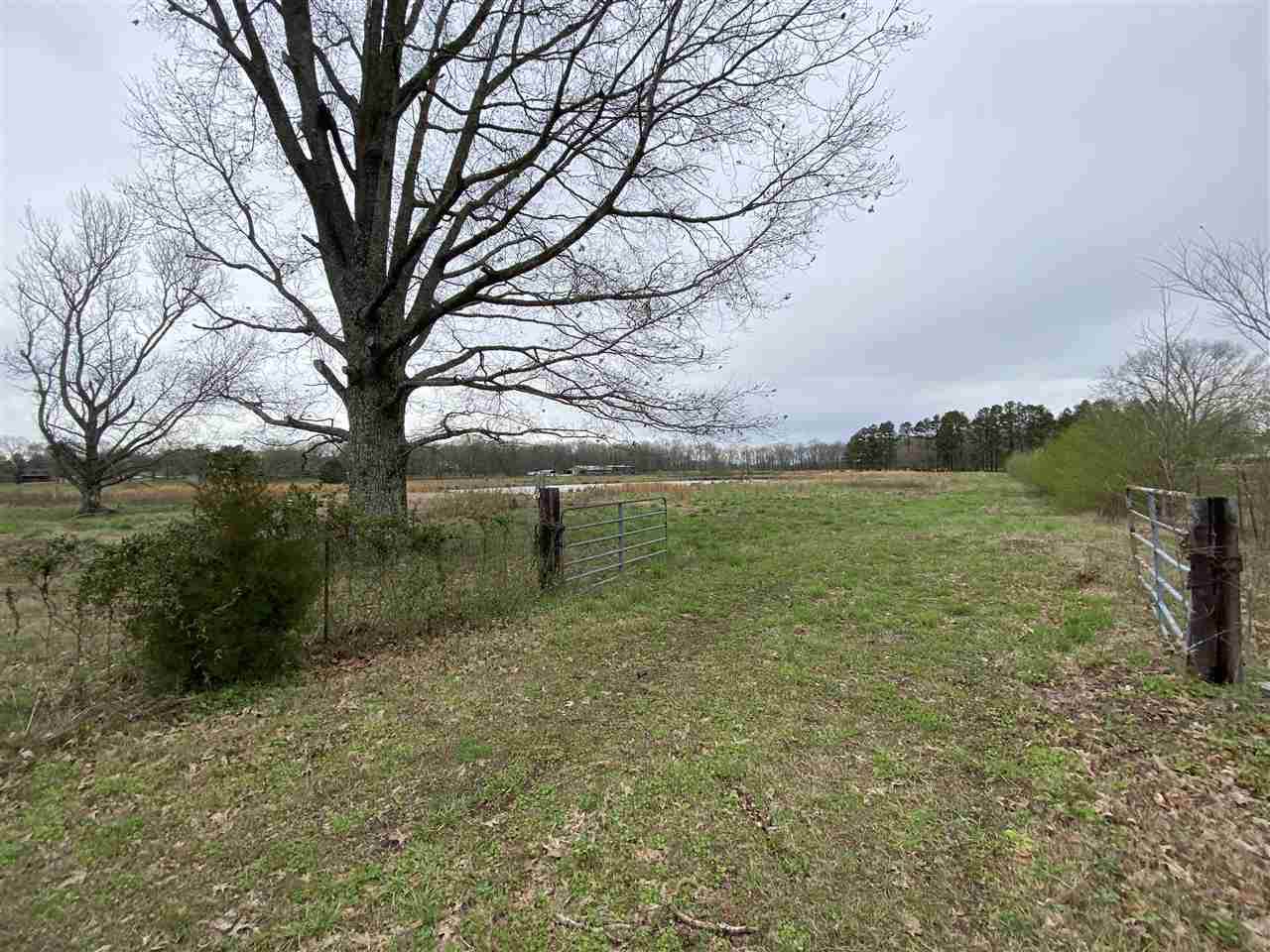 00 Clay Pond Rd - Photo 1 00 Clay Pond Rd - Photo 1
