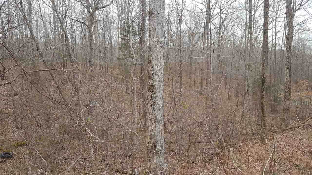 7050 Topsy Rd - Photo 1
