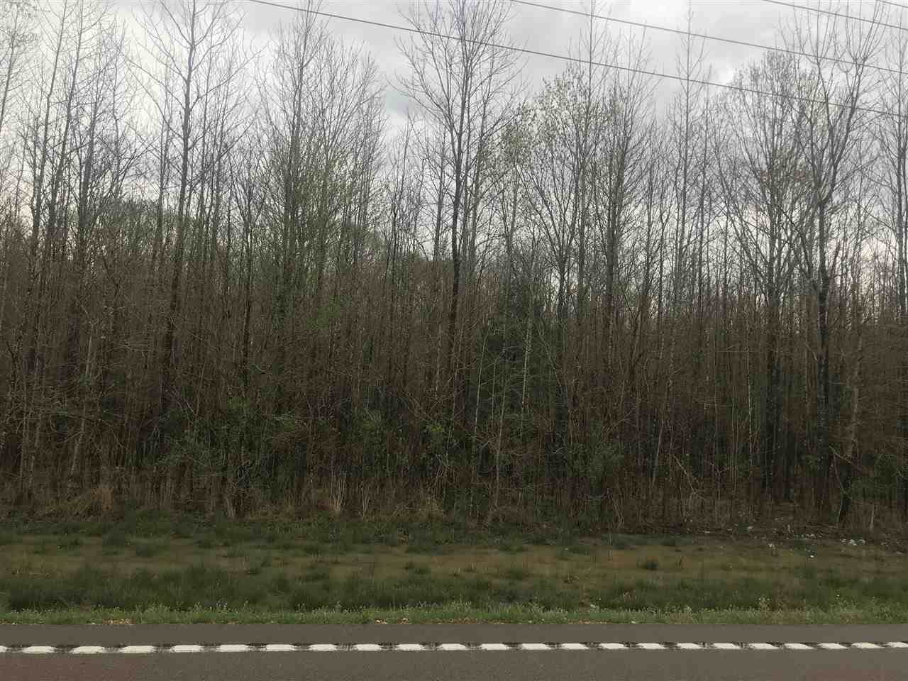 0 Hwy 196 Hwy - Photo 1
