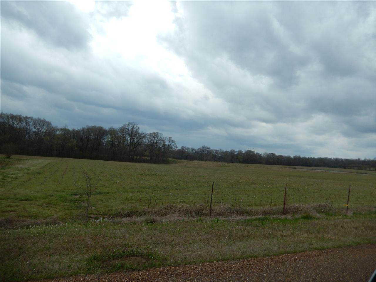 0 Monroe Rd - Photo 1