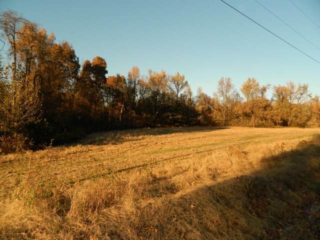 LOT 8 Dolan Rd - Photo 1